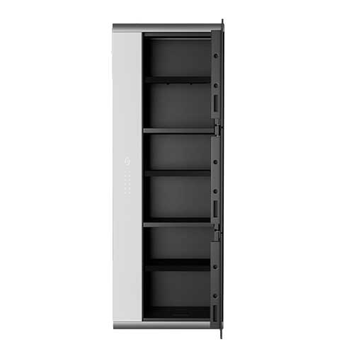 Godrej Goldilocks Wally Trio Personal Locker - Image 3